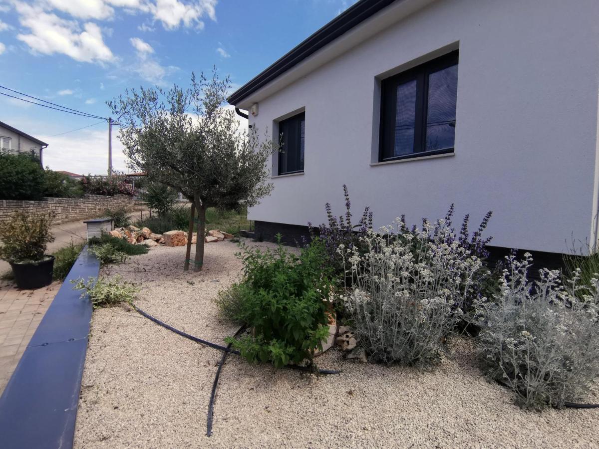 Villa Oliva Umag Extérieur photo